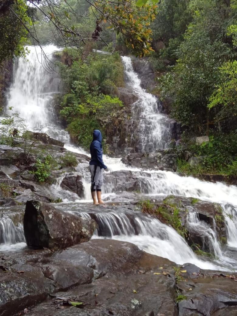 Soluna Hospedagem Familiar - Diarias De Acomodacoes Unicas Florianópolis Dış mekan fotoğraf